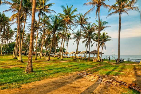 Quels sont les meilleurs moyens de transport pour explorer une nouvelle ville efficacement ?