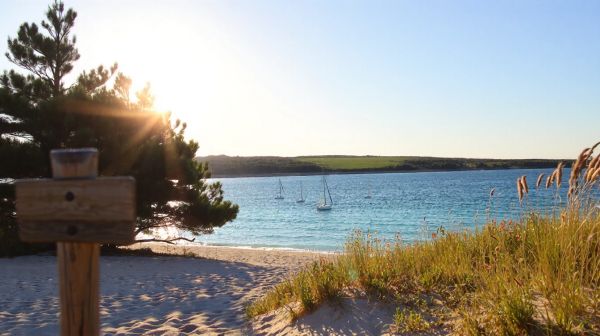 Top campings en pleine nature à découvrir sur l'île d'Oléron